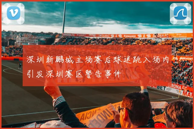 深圳新鹏城主场赛后球迷跳入场内引发深圳赛区警告事件