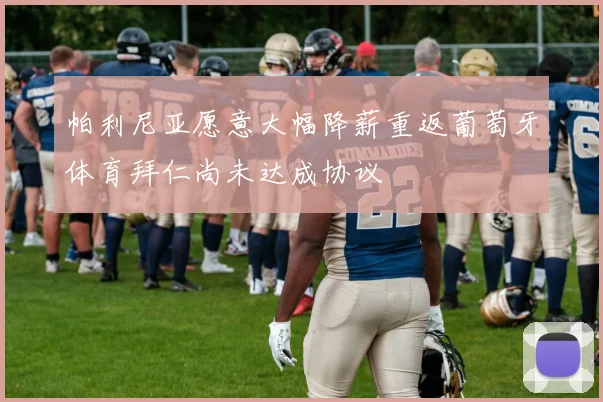 帕利尼亚愿意大幅降薪重返葡萄牙体育拜仁尚未达成协议