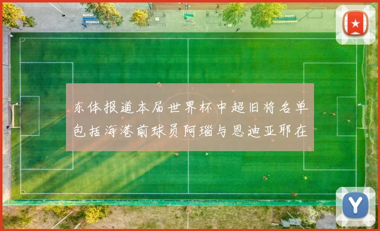 东体报道本届世界杯中超旧将名单包括海港前球员阿瑙与恩迪亚耶在内的10位球员