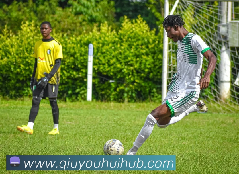 球友会平台生态图